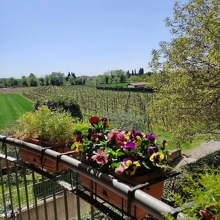 Farm stay Agriturismo La Vigna